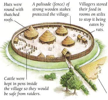 Celtic palisaded settlement